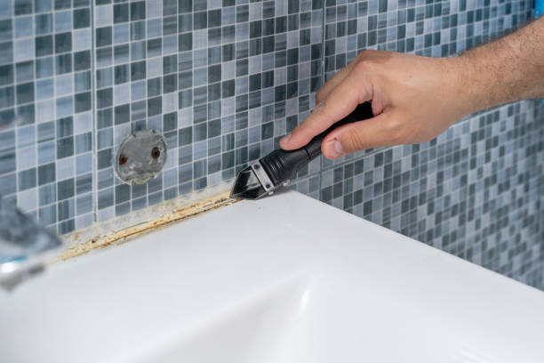 Best Fast Mold Removal  in Edmundson, MO