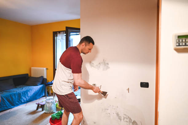 Best Emergency Mold Removal  in Edmundson, MO