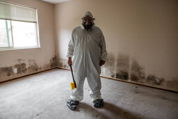 Crawl Space Mold Removal in Edmundson, MO